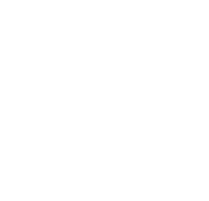 SP88-Consulting_logo